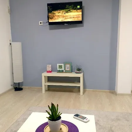 Apartment Studio Ajdy 2 *